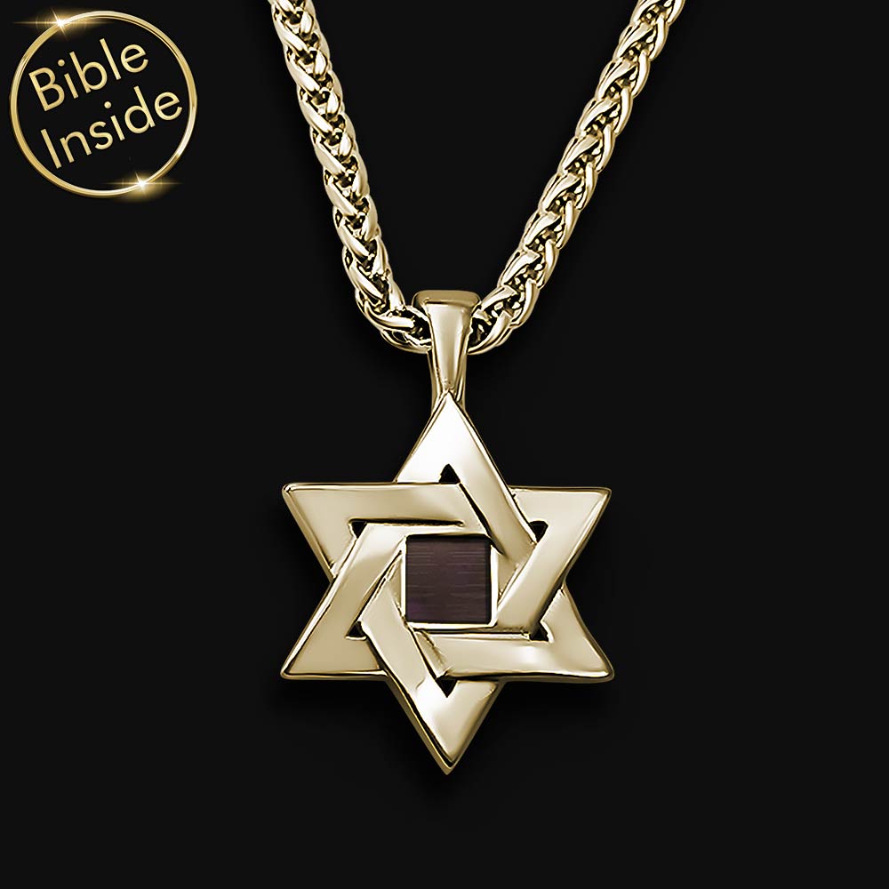Idea for Valentine gift nano Bible polished Star of David necklace, cool valentines ideas